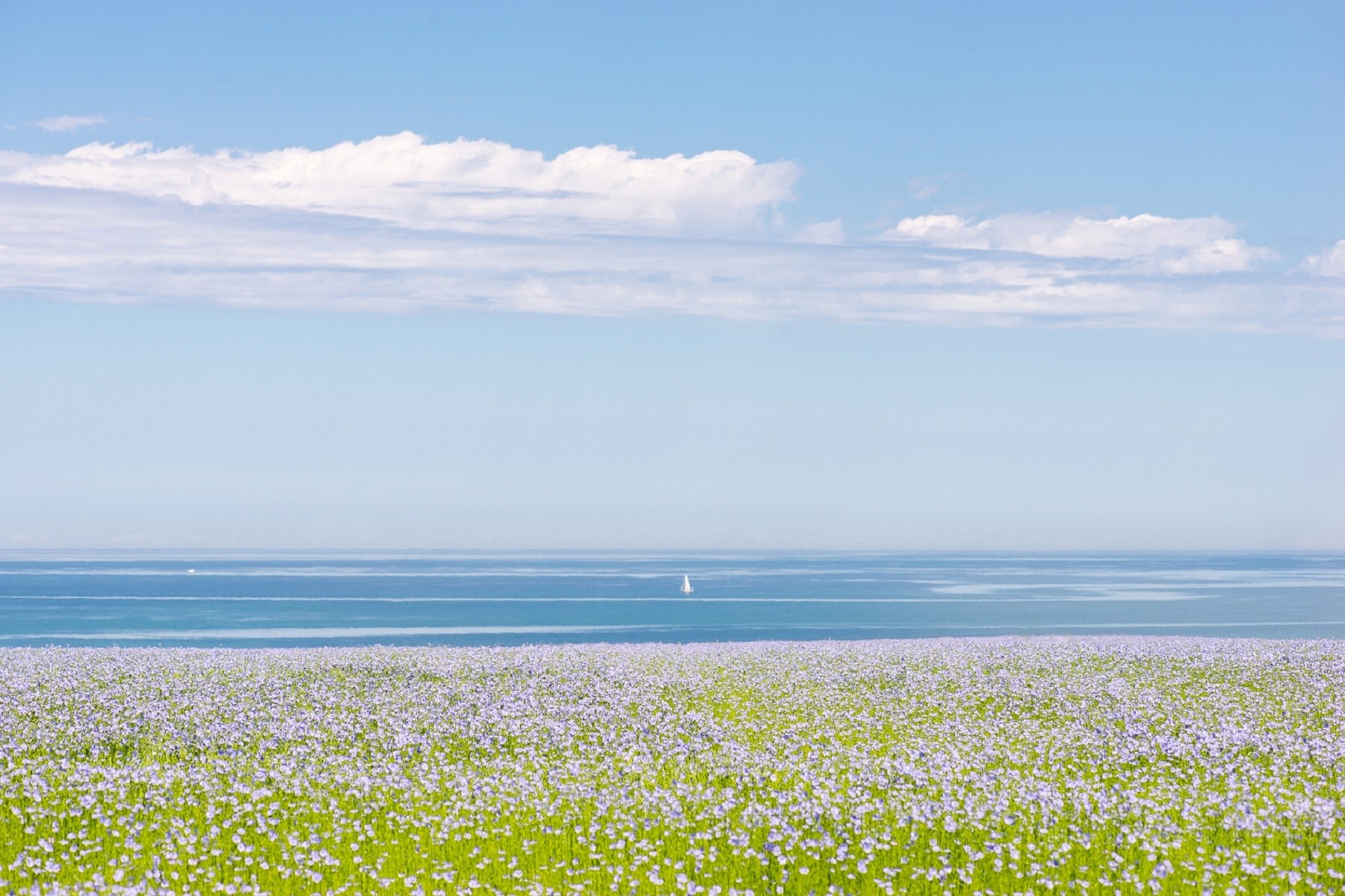 faire louer son chateau et domaine