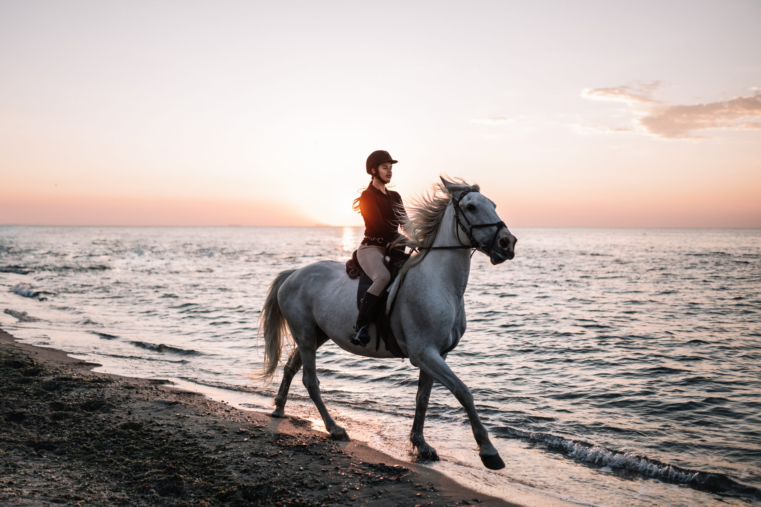 Balade en cheval sur la plage